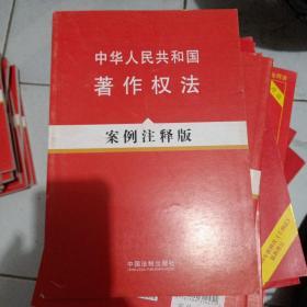 中华人民共和国著作权法：案例注释版