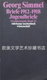 【包邮】Georg Simmel: Briefe 1912-1918 Jugend Briefe Gesamtausgabe Band 23