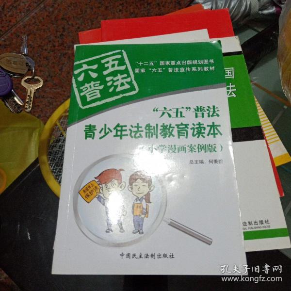 “六五”普法青少年法制教育读本:小学漫画案例版