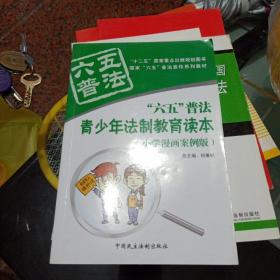 “六五”普法青少年法制教育读本:小学漫画案例版