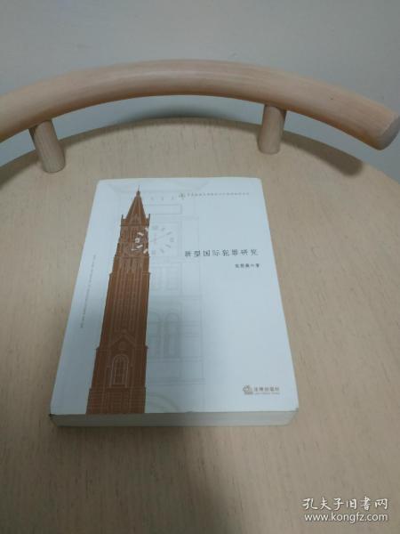 华东政法大学校庆六十周年纪念文丛：新型国际犯罪研究