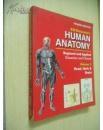 Human Anatomy:Regional and Applied Volume 3 Head,Neck & Brain【英文原版】