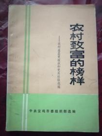 农村致富的榜样