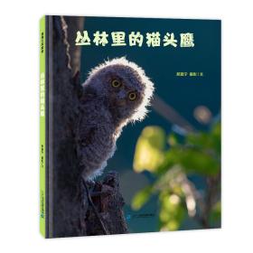 （畅销精装绘本）蒲蒲兰绘本馆：丛林里的猫头鹰【适合4岁以上亲子共读】