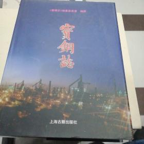 宝钢志