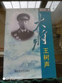 大将王树声