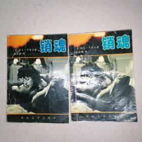 销魂（上下册全）