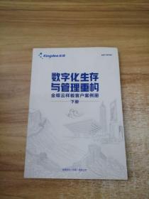 数字化生存与管理重构 下册