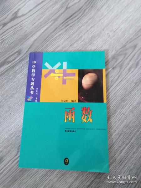 函数  中学数学专题丛书