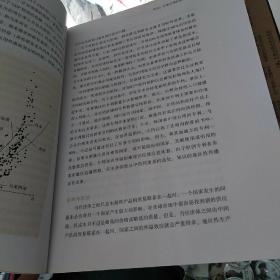 东亚复兴：关于经济增长的观点 正版图书，内容新 [美]印德尔米特·吉