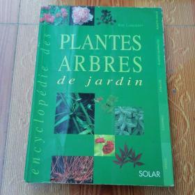 plantes arbes