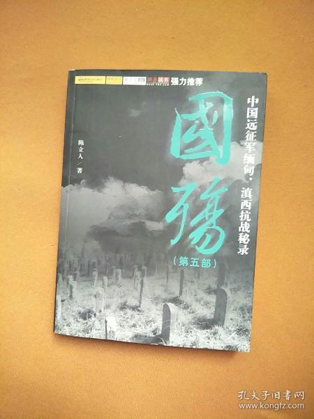 国殇（第5部）：中国远征军缅甸、滇西抗战秘录