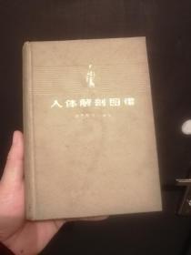 1973年人体解剖图谱