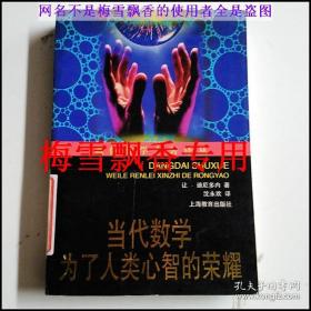 当代数学 为了人类心智的荣耀