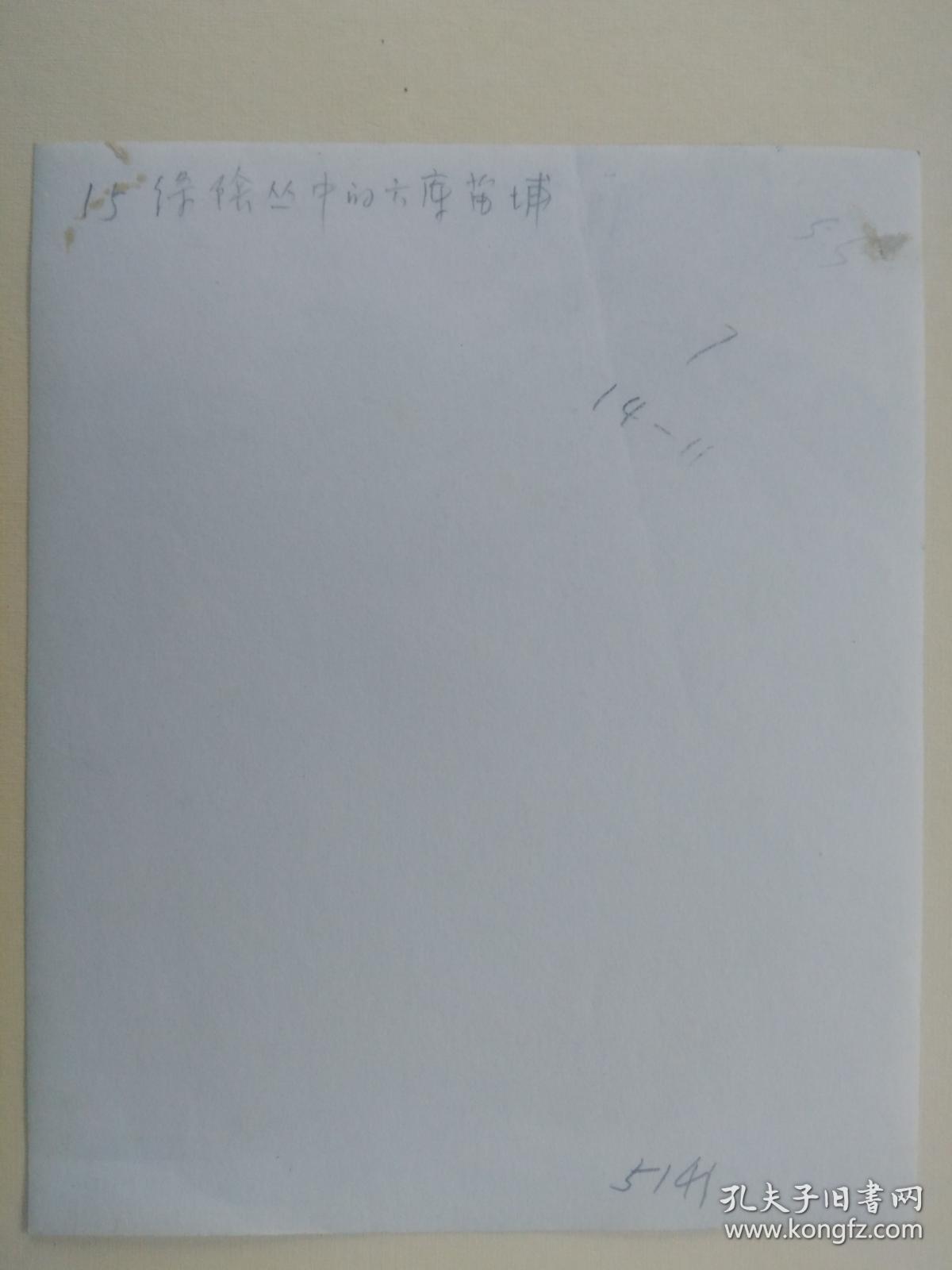 点击查看原图 绿荫丛中的六库苗圃 ( 七八十年代 大尺寸黑白官方老照片、原始照片)