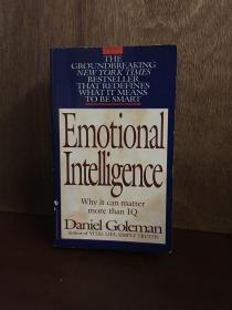 Emotional Intelligence why it can matter more than IQ