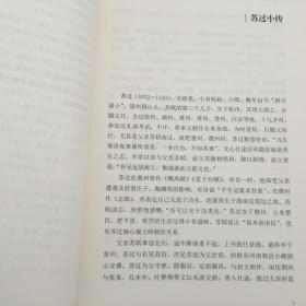 怀仁犹有经国意 居儋仍是读书人——志隐终为文学家的苏过