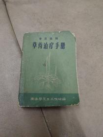 《常见疾病草药治疗手册》64开,394页