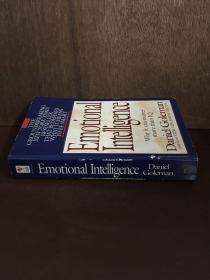 Emotional Intelligence why it can matter more than IQ