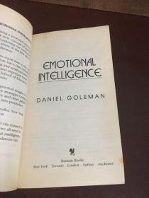 Emotional Intelligence why it can matter more than IQ