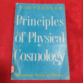 Principles of Physical Cosmology《物理宇宙学原理》
(品相自定以图为准)外封面有磨擦