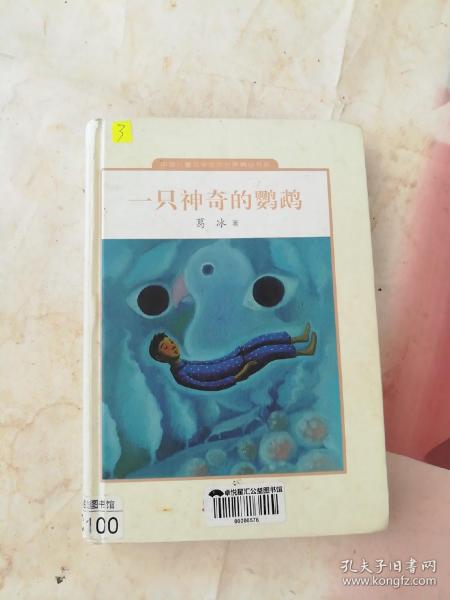 一只神奇的鹦鹉