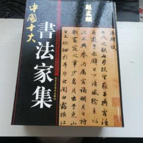 中国十大書法家集（共十册少一册董其昌）