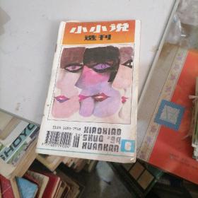 小小说选刊1994一6