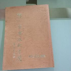 陈小康书法教学展作品集