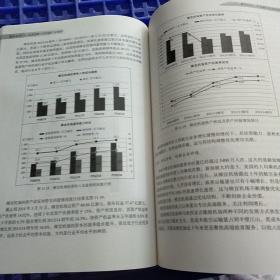 竞逐九天-全球视野下的民航产业透析（正版、现货）