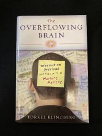 The Overflowing Brain：Information Overload and the Limits of Working Memory