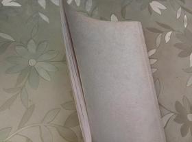 中医妇科常见病诊疗指南(送审稿)