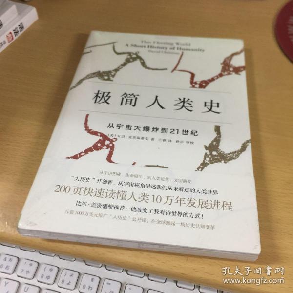 极简人类史：从宇宙大爆炸到21世纪