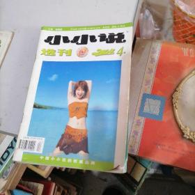小小说选刊2004一4