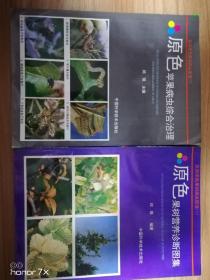 原色苹果病虫综合治理、原色果树营养诊断图集 （2本合售）一