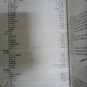 电子琴基础教程——流行乐器基础教程系列丛书