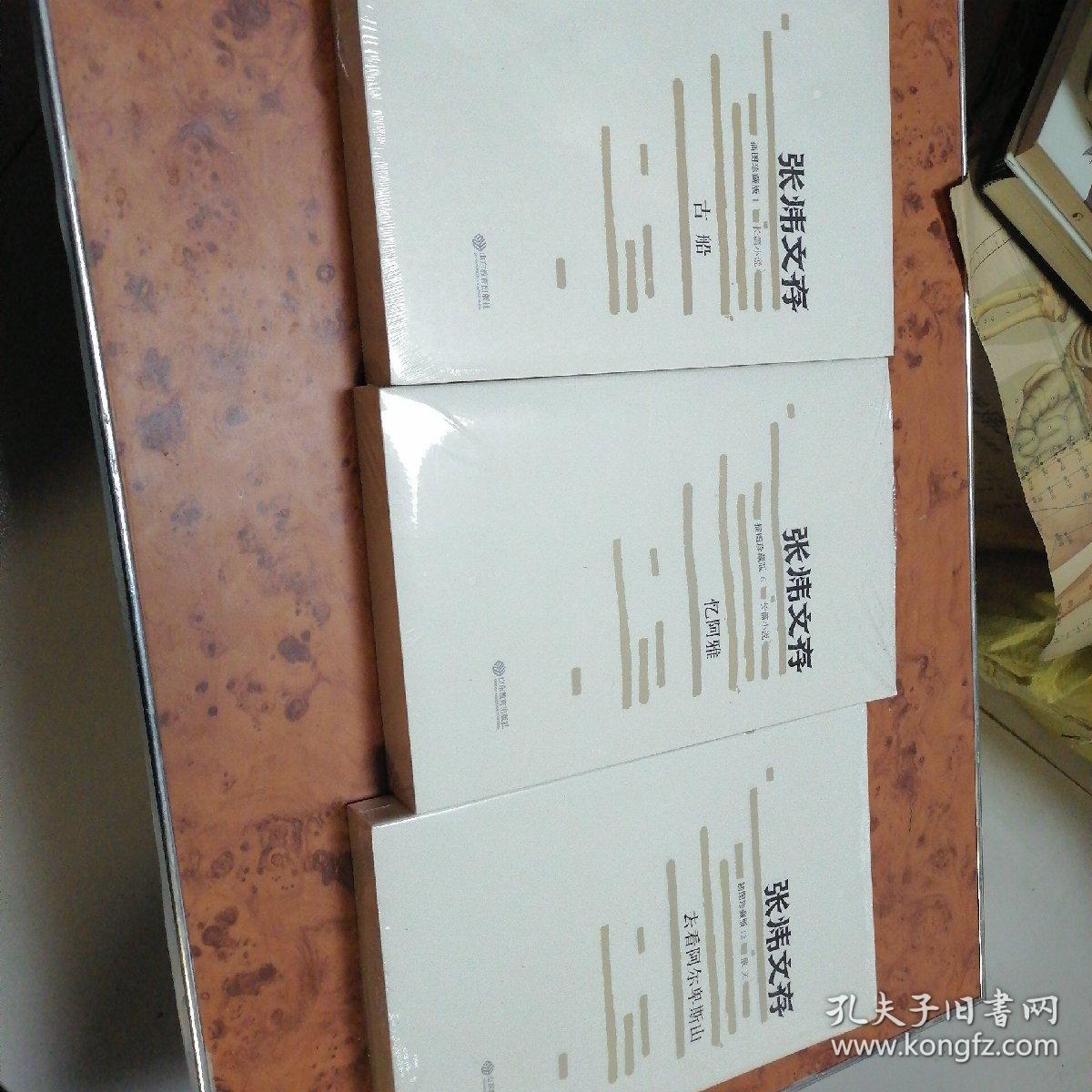 张炜文存（原箱全套）