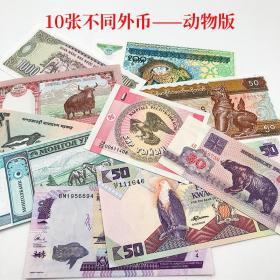 【10国10张】精选10个国家10张精美动物版纸币 不重复外国钱币