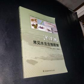 洪泽湖常见水生生物图集