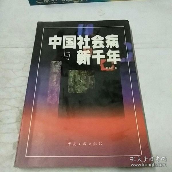 中国社会病与新千年