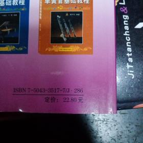 电子琴基础教程——流行乐器基础教程系列丛书