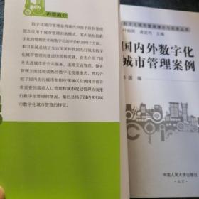 民易开运：数字化城市管理理论与实务数字技术应用研究多元化双轴化国内外公共服务道路交通警务管理～国内外数字化城市管理案例