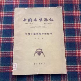 中国古生物志：巨猿下颌骨和牙齿化石 （总号第146册 新丁种第11号 ）16开，62年1版1印