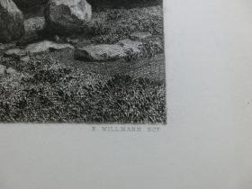 【百元包邮】 《康帕尼亚克景观》（AUS DER CAMPAGNA）1880年 蚀刻版画  纸张尺寸约36.4×26.7厘米（货号DGK0128）