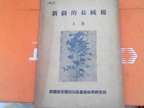 新疆的长绒棉  上集