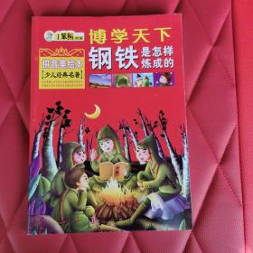 钢铁是怎样炼成的