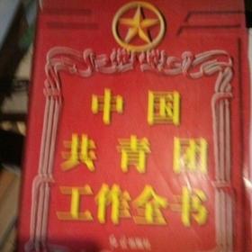 中国共青团工作全书（一版一印）