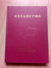 《威海市地质矿产概论》（印160册）