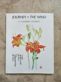 JOURNEY OF THE WIND