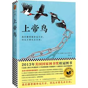 上帝鸟（伊桑.霍克挚爱本书，主演同名美剧，10月4日火热开播。美国国家图书奖桂冠图书！全美18家媒体重磅推荐。）